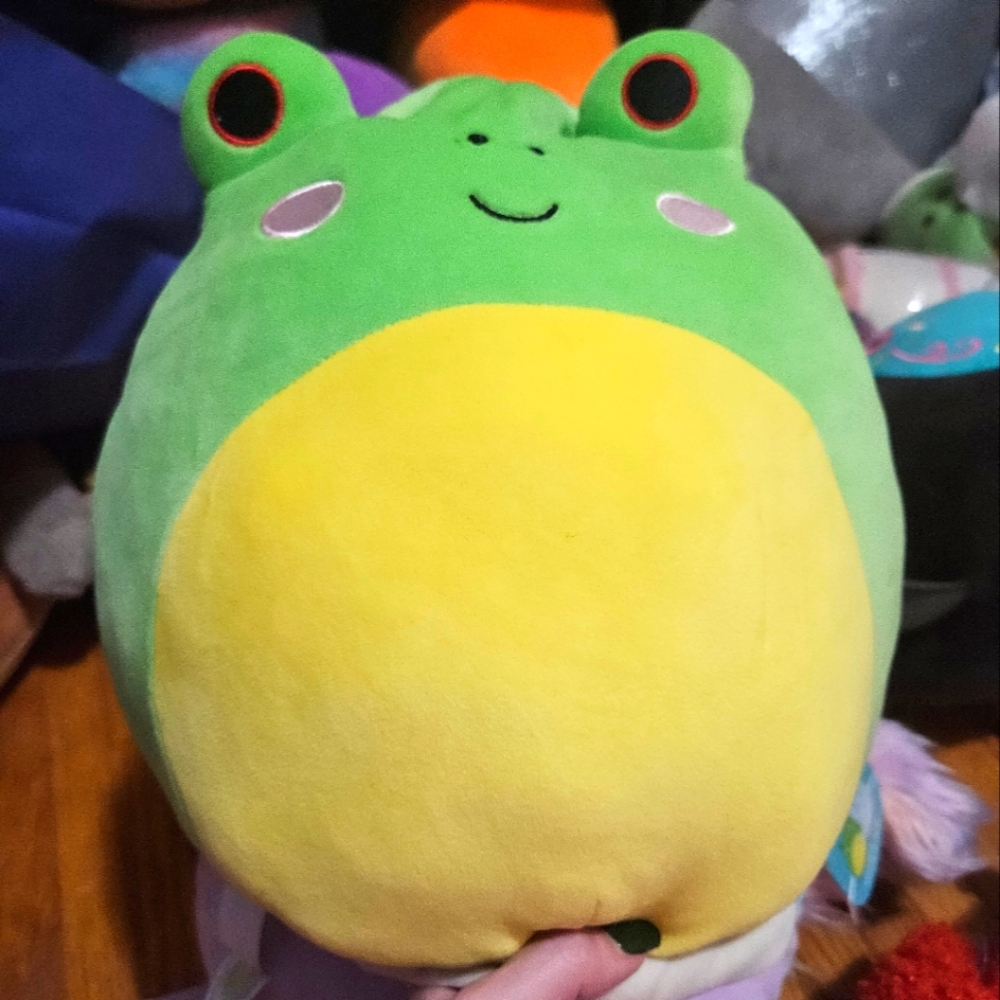 NWT 12” Wendy the Frog 🐸 & Hank the Hippo Flipamallow Squishmallow